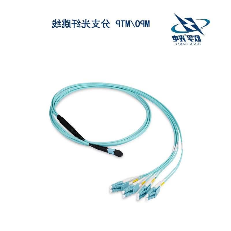 甘南藏族自治州MPO/MTP 分支光纤跳线