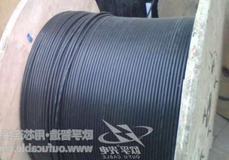 甘南藏族自治州12芯GYXTW中心束管式光缆制作 欧孚GYXTW光缆特点