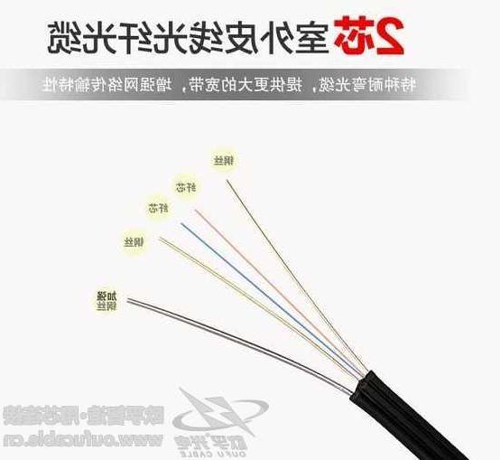 甘南藏族自治州欧孚光缆厂家 双芯皮线光缆是什么结构的